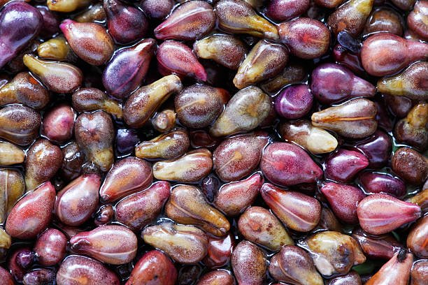 Grape Seed